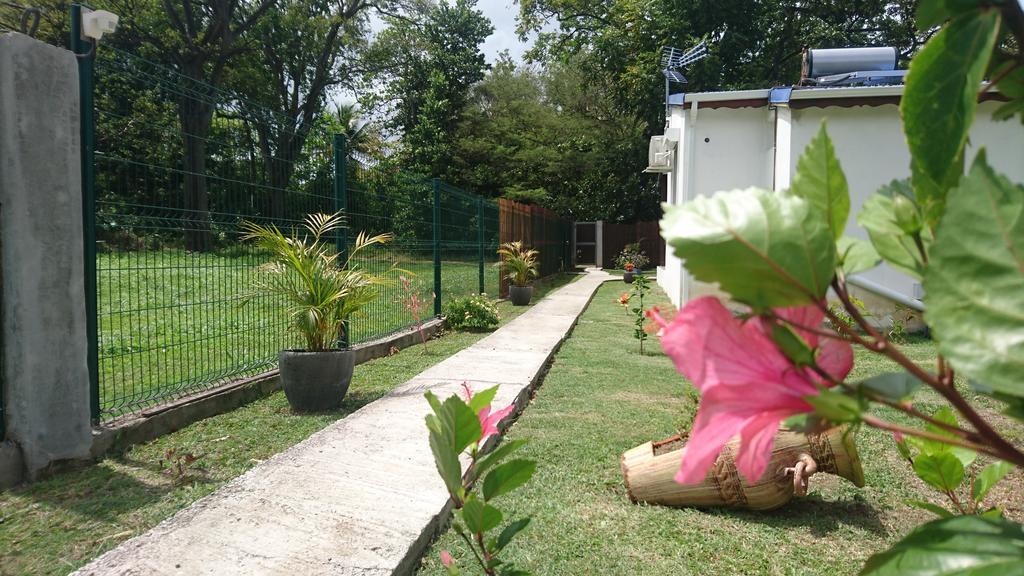 Vila Reve Creole Deshaies Exteriér fotografie