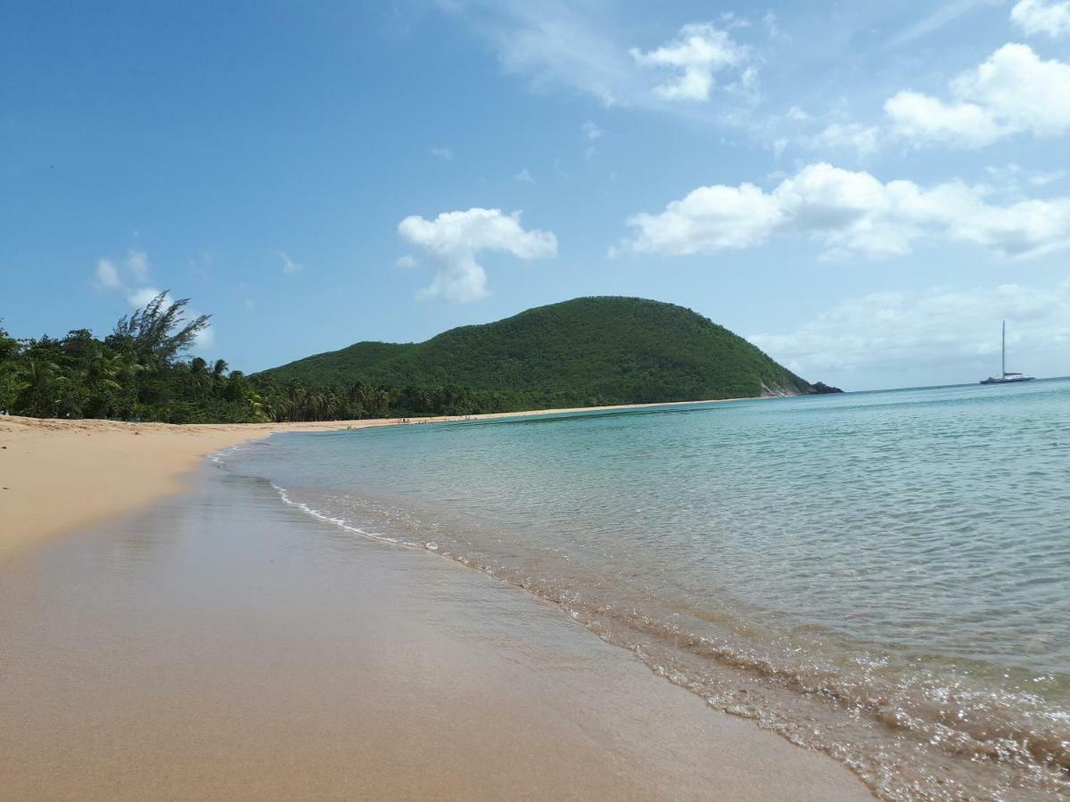 Vila Reve Creole Deshaies Exteriér fotografie