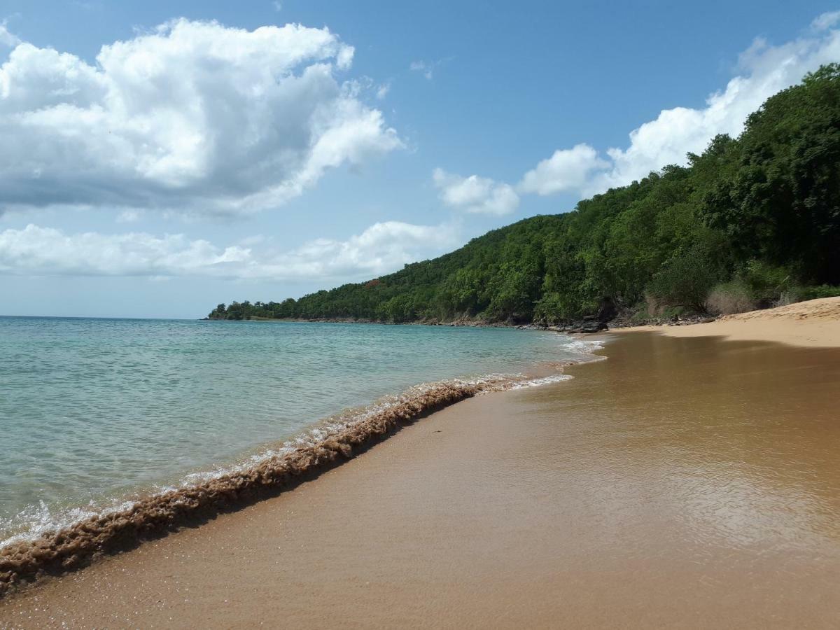 Vila Reve Creole Deshaies Exteriér fotografie