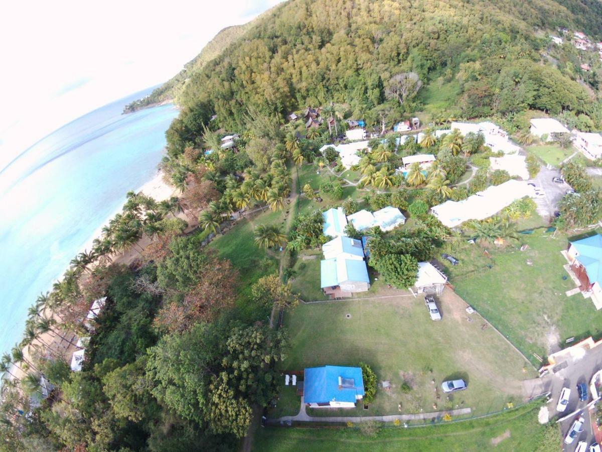 Vila Reve Creole Deshaies Exteriér fotografie