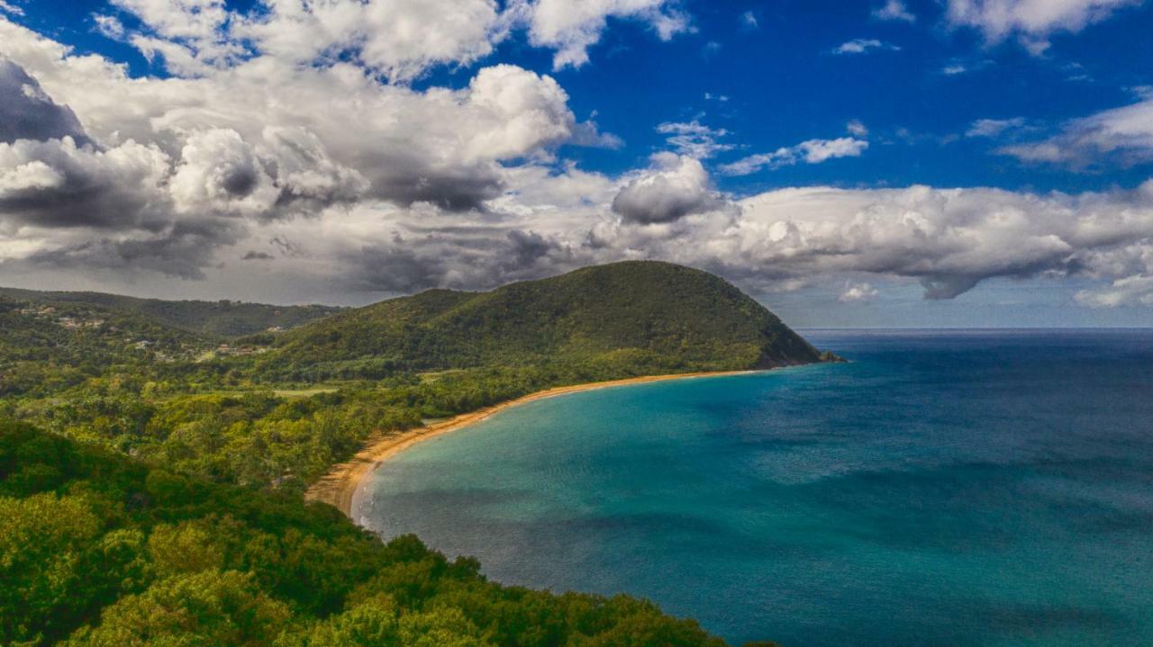 Vila Reve Creole Deshaies Exteriér fotografie