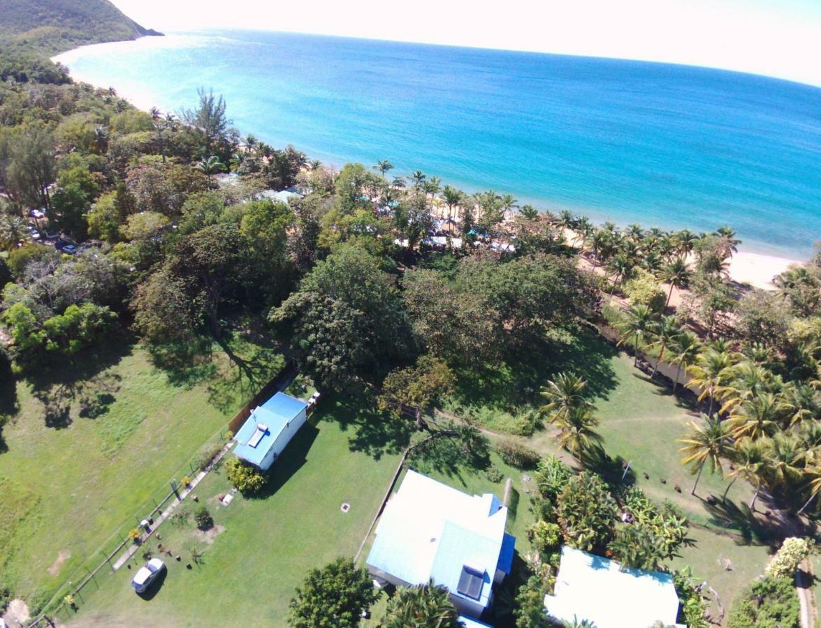 Vila Reve Creole Deshaies Exteriér fotografie